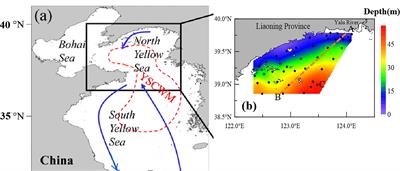 Frontiers Processes Controlling The Aragonite Saturation State In The